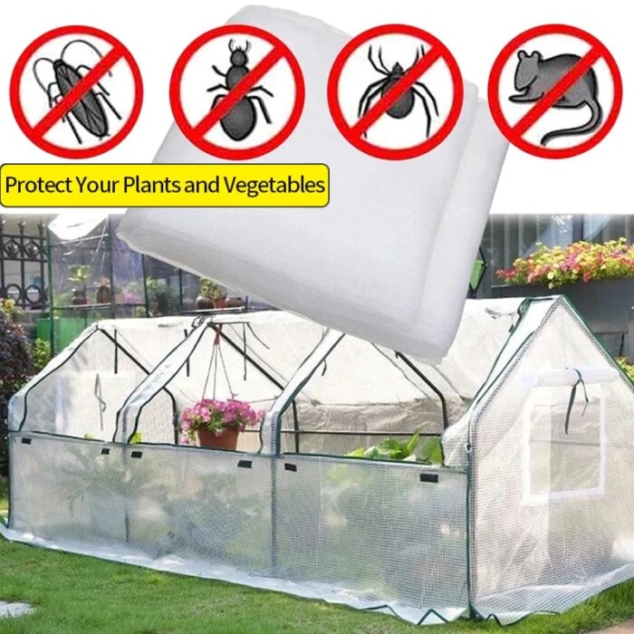 20390-pnj4xc.jpg White agfabric mosquito netting covering a tomato plant in a garden