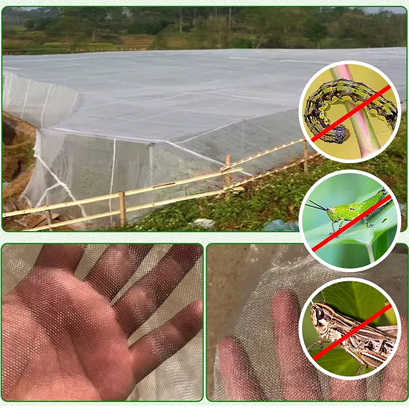 Installing the netting over a vegetable garden to prevent pest infestations