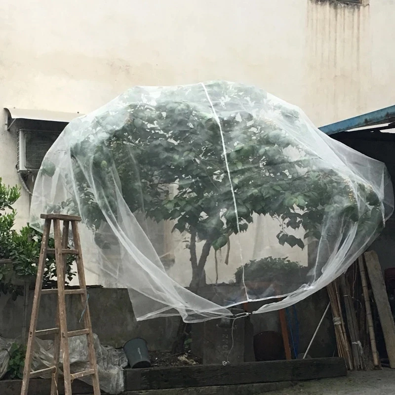 Rolo de tela mosquiteira usado como grade para porta de pátio